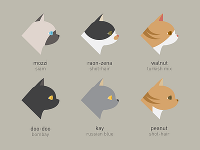 Cat cat graphic illust set