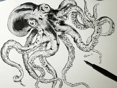 Octopus crosshatching crowquill drawing illustration ink octopus speedball tentacles victorian vintage