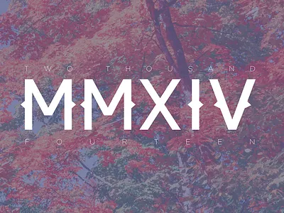 2014 photo book cover