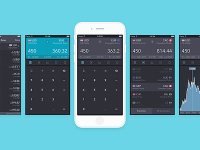 iCurrency Pad UI calculator converter currency exchange rate graph icurrency ios ios 8 ios8 ipad iphone ui