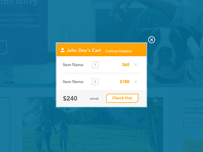 Cart Modal cart checkout form modal