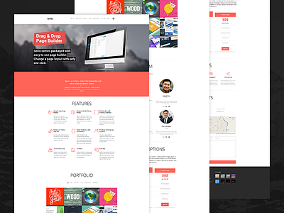 WP Theme site theme ui ux web web design wordpress wp