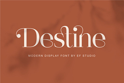 Destine Modern Display Serif alternates branding branding font classic destine modern display serif display serif elegant font fashion font headline ligatures logo font luxury luxury font modern font modern typography vintage wedding font