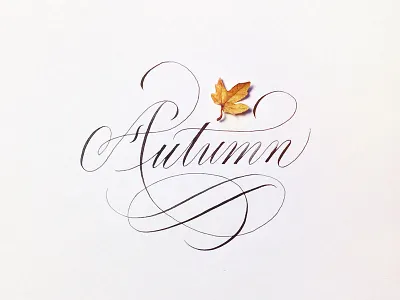 Autumn autumn calligraphy classy copperplate cursive elegant english fall flourish flourishes leaf