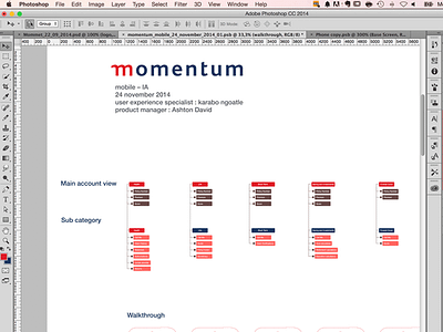 Momentum Mobile mobile navigation ux wireframe