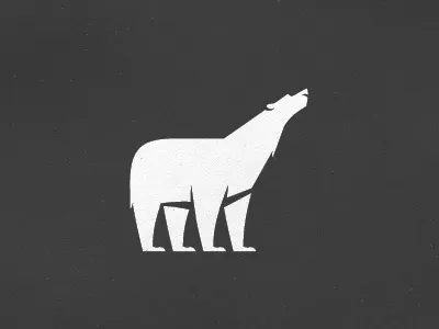 Another Bear!