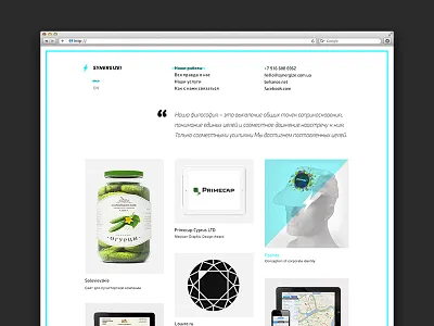 Synergize web-site agence basov basovdesign minimal portfolio studio synergize ukraine web web site webdesign white
