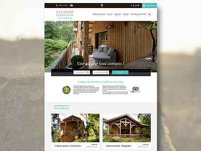 La cabane au bord du lac beach biscarrosse blue design france ui webdesign wood