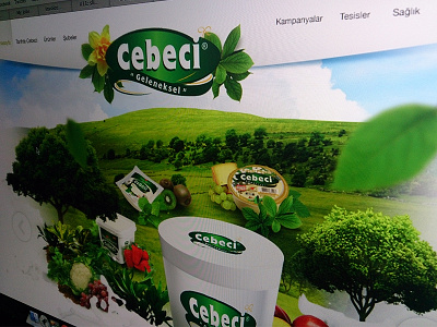 Green Cheese Concept cheese website fresh natural concept green website nature concept nature web ui design ux design