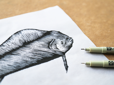 Woodcut Sketch drawing fish seafood sketch woodcut