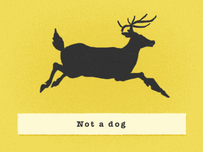 Not a Dog animal deer dog magritte rene