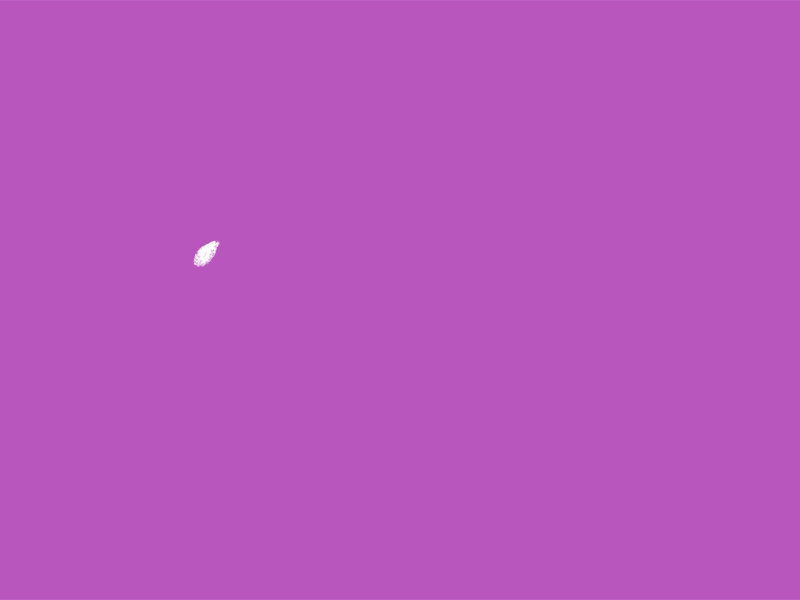 Cell Animation - First Studies animation frame animation motion design motion graphics photoshop study test