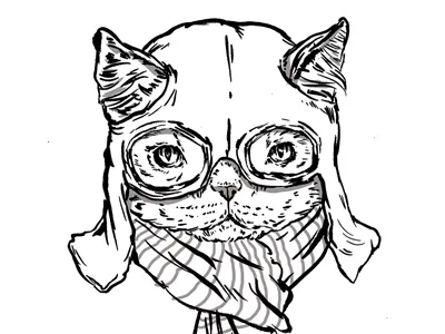 Adventure Cat adventure cat flying googles illustration