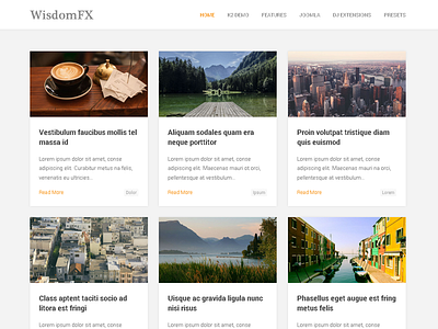 WisdomFX - Blog Joomla Template blog blogging clean gantry gantry framework k2 personal photography