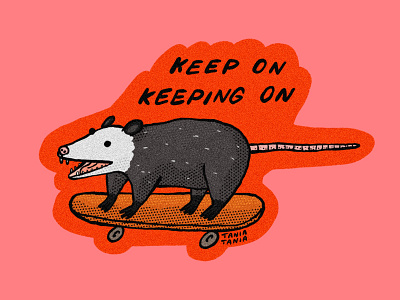 Keep On 2d animal digital art illustration illustrator possum skateboard sticker design wild