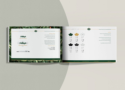 brand book app branding design graphic design illustration logo typography ui ux vector