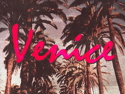 Venice logo summer venice