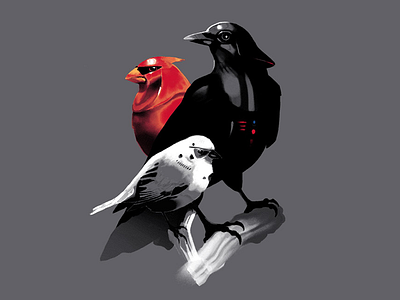 Avian Empire birds darth vader imperial guard star wars starwars stormtrooper the yetee