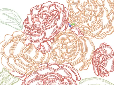 Vectored roses flower line art rose vector vectored
