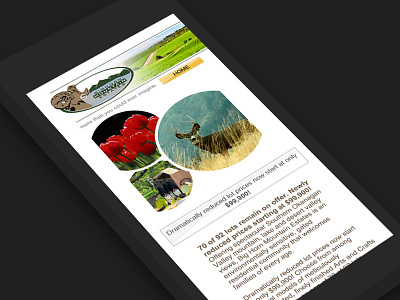 Mobile Web Design & Development by Red Cherry red cherry responsive web design web development