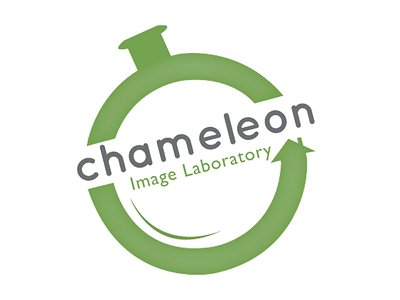 Chameleon Image Laboratory branding circle green home house identity lab logo typography