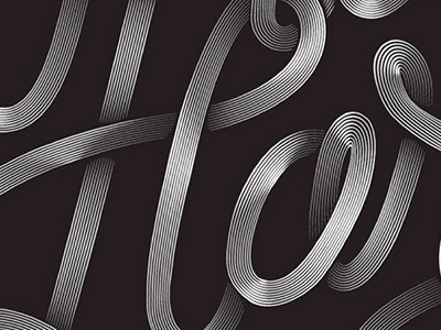 Detail lettering typography vector