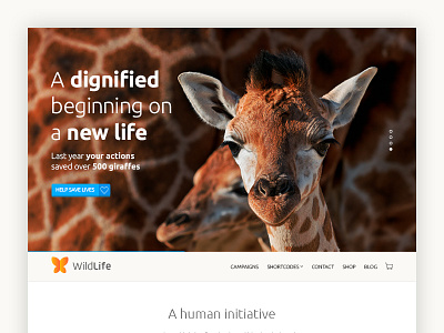 Themeforest animal design nature nonprofit theme themeforest wordpress