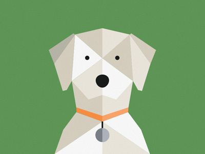 Dog dog geometric