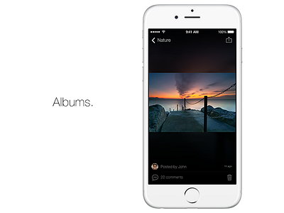 Albums. Photo view albums app ios photo social ui