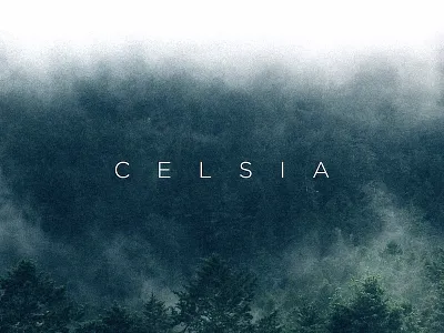 Celsia fog gotham grain trees