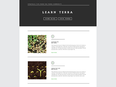 Terra Website - Featured Blogs blog green grow icon layout logo plant web