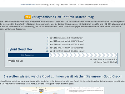 Inforgraphic Hybrid Cloud Flex composite creative direction css design germany graphic design host europe gmbh html sydney fernandes ui ux web design