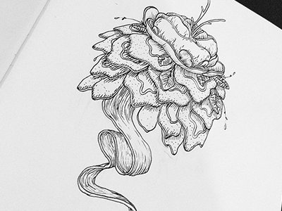 Flor drawing illustration