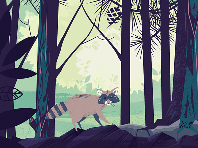 Raccoon flat illustration natural nature new raccoon rocks trees
