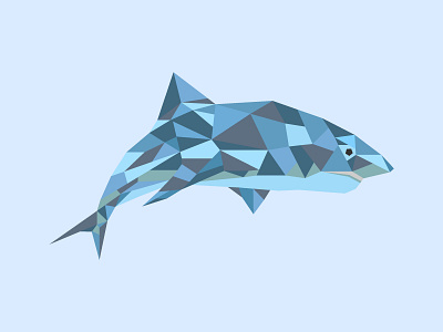 Geometric Shark design geometric shark wallpaper