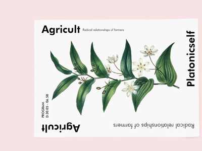 Agricult branding flyer illustrative minimal