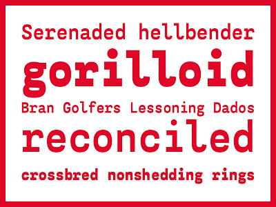 Mimono invertedcontrast mono monospace robofont type typedesign typography