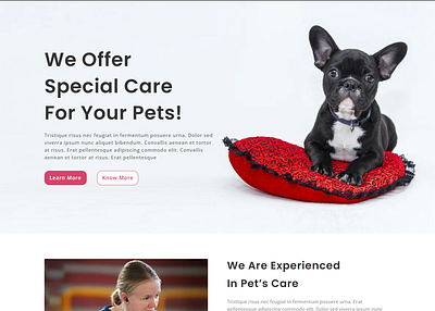 Pet Care Service WordPress Website business divi landing page design pet care ui design web design web devlopment website website devlopment website redesign wrodpress