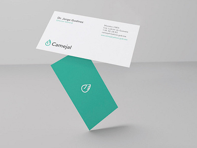 Camejal branding business card gray health medical menta picante minimal