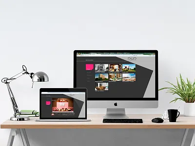 Website Design for a Romanian Architect mockup ui web design website