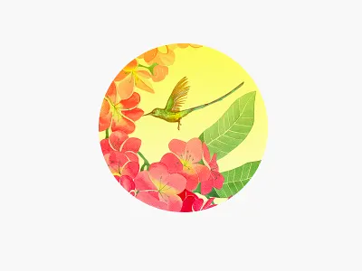 Plumeria flowers and Hummingbirds Print case design flowers hummingbirds ipad iphone plumeria print product