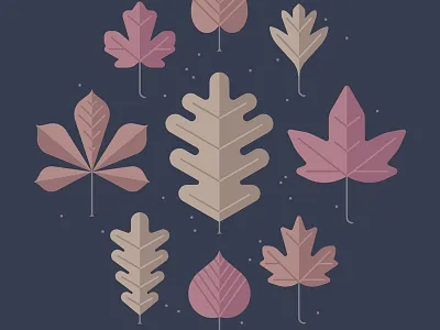 Fall leaves fall leaf leaves maple oak