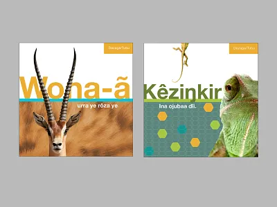 Children's Books - Daza Language animals chad childrens books
