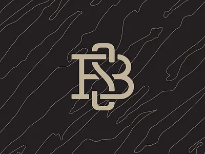 BS monogram design lettering logo monogram
