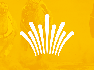 C ~ 1 dogs gold race sport yellow