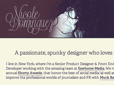 Shot #1861630 personal site portfolio redesign