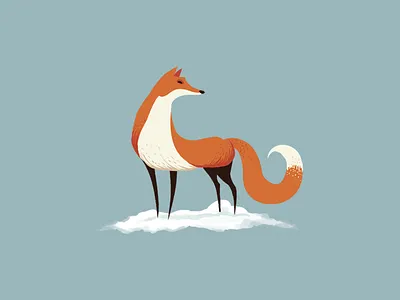 Fox fox illustration istanbul mustafa kural
