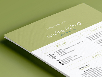 My Resume V3 curriculum vitae cv design employment job portfolio professional resume template