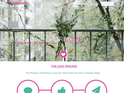 Marriage Diaries design web design website