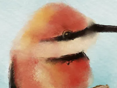 Photoshop Watercolour Brushes aquarellist brushes dukal illustration photoshop tool presets watercolour